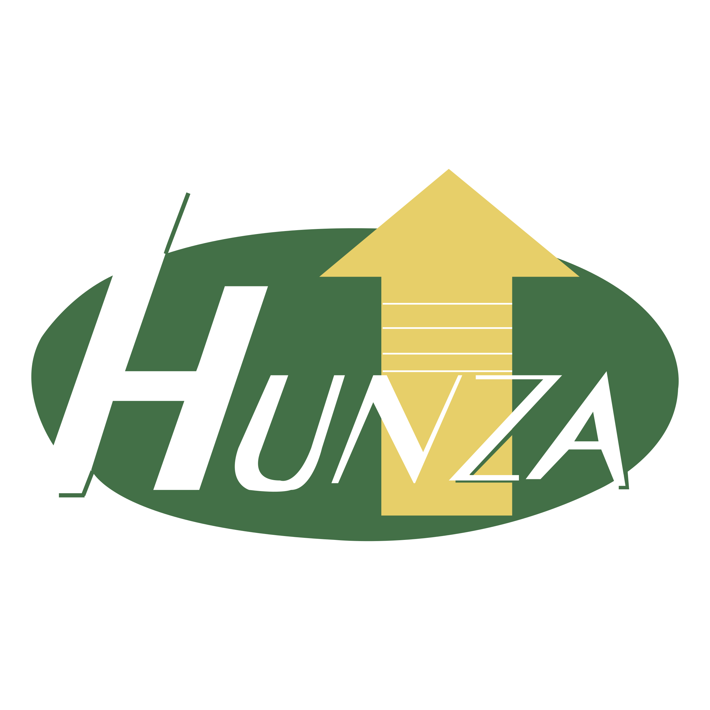 hunza-properties-logo-png-transparent